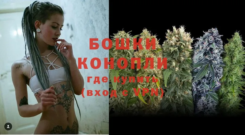 Бошки Шишки OG Kush  Соликамск 